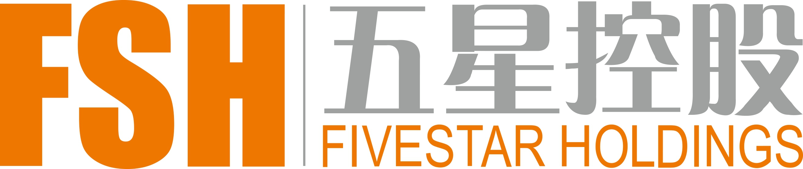 五星控股集團(tuán)有限公司